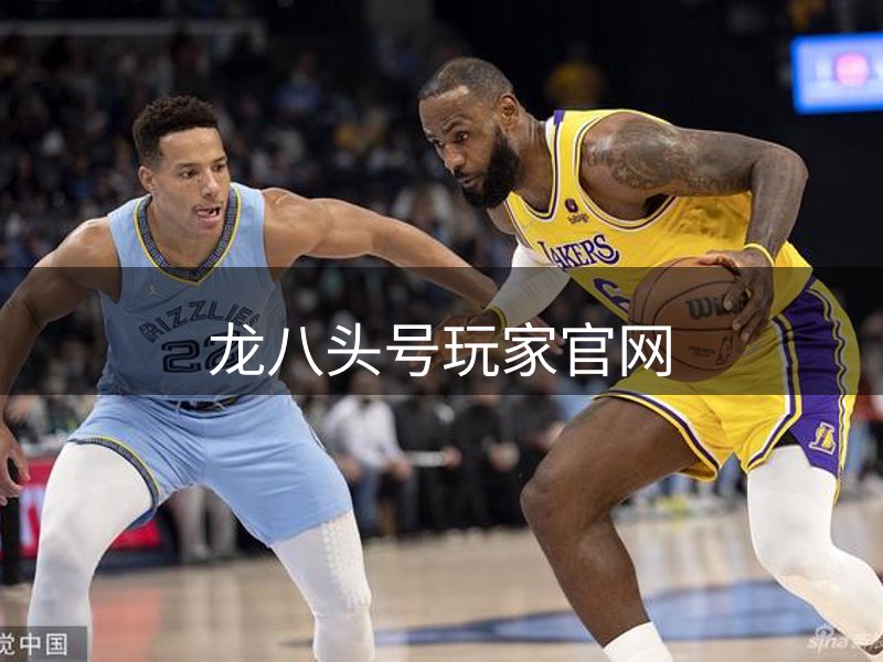 网站荣誉